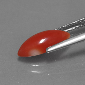 Coral Gemstone in 11.9 x 5.4 mm Size for Sale, Coral Stone in White Salmon Color