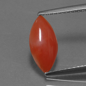 1.16 ct Pink Coral Gemstone, Coral Gem in Marquise Cabochon Shape for Sale.