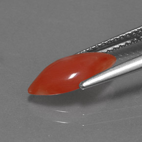 Coral Gemstone in 12 x 6 mm (calibrated) Size for Sale, Coral Stone in White Salmon Color