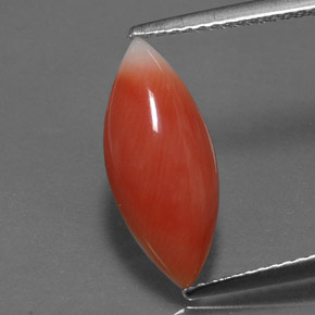 2.56 ct Pink Coral Gemstone, Coral Gem in Marquise Cabochon Shape for Sale.