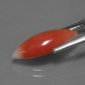 Coral Gemstone in 16.3 x 7.2 mm Size for Sale, Coral Stone in White Salmon Color