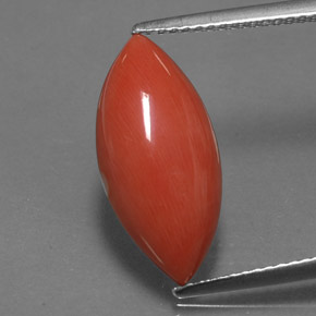 4.46 ct Pink Coral Gemstone, Coral Gem in Marquise Cabochon Shape for Sale.