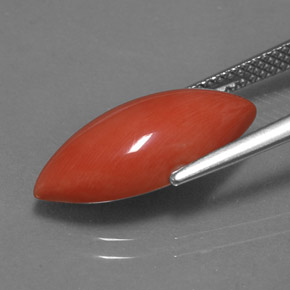 Coral Gemstone in 18 x 8.5 mm Size for Sale, Coral Stone in White Salmon Color