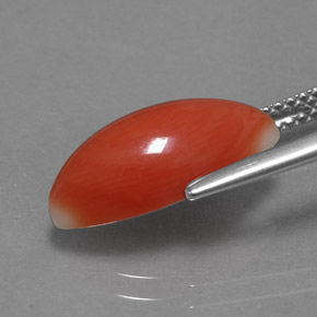 Coral Gemstone in 15.1 x 6.7 mm Size for Sale, Coral Stone in White Salmon Color