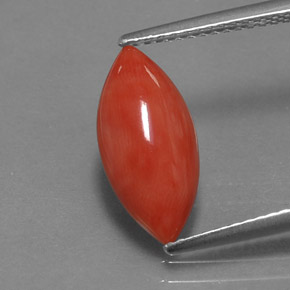 2.03 ct Pink Coral Gemstone, Coral Gem in Marquise Cabochon Shape for Sale.