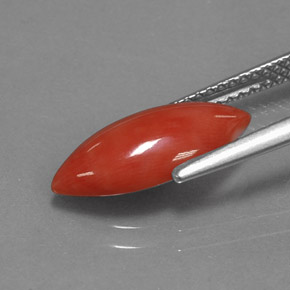 Coral Gemstone in 14.6 x 6.9 mm Size for Sale, Coral Stone in White Salmon Color