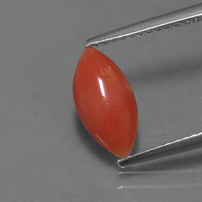 1.27 ct Pink Coral Gemstone, Coral Gem in Marquise Cabochon Shape for Sale.