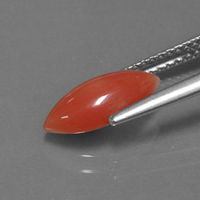 Coral Gemstone in 11.4 x 5.8 mm Size for Sale, Coral Stone in White Salmon Color