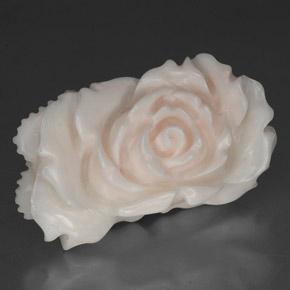 24.33 ct White Coral Stone, Natural Coral in Carved Rose Shape for Sale
