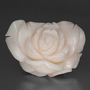 26.3x19.7 mm Carved Rose White Coral from Taiwan, Weight of 34.31ct, Natural untreated Gemstone in Opaque Clarity, 1pc Coral - Color: Pinkish White, Mohs Hardness of 3 - 4, Photo A