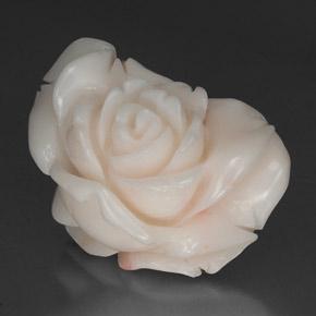 Coral Gemstone in 26.3 x 19.7 mm Size for Sale, Coral Stone in Pinkish White Color