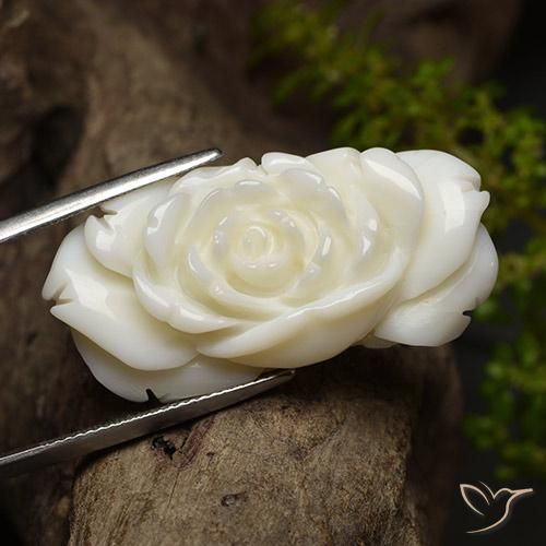 34.9 x 17mm Flower Cut White Coral from Taiwan, Weight of 36.24ct, Natural untreated Gemstone in Opaque Clarity, 1pc Carved Rose Coral - Color: Bright White, Mohs Hardness of 3 - 4, Photo A