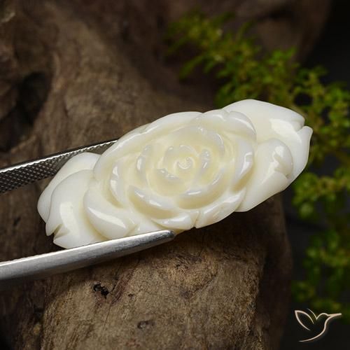 Coral Gemstone in 34.9 x 17 mm Size for Sale, Coral Stone in Bright White Color