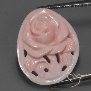 Coral Gemstone in 26.7 x 20.8 mm Size for Sale, Coral Stone in Medium Pink Color