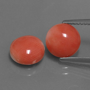 3.37 ct Pink Coral Gemstone, Coral Gem in Round Cabochon Shape for Sale.