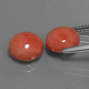 Coral Gemstone in 8 mm (calibrated) Size for Sale, Coral Stone in White Salmon Color
