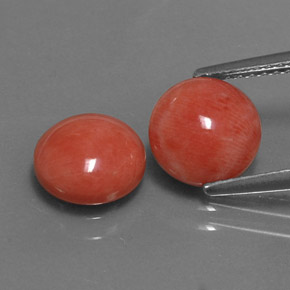 3.10 ct Pink Coral Gemstone, Coral Gem in Round Cabochon Shape for Sale.