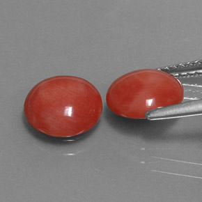 Coral Gemstone in 8 mm (calibrated) Size for Sale, Coral Stone in White Salmon Color