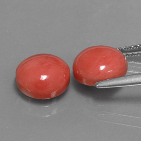 Coral Gemstone in 8 mm (calibrated) Size for Sale, Coral Stone in White Salmon Color