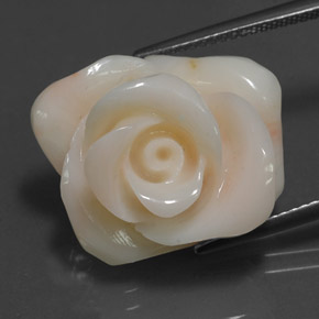 18.54 ct Cream Coral Gemstone, Coral Gem in Carved Rose Shape for Sale.