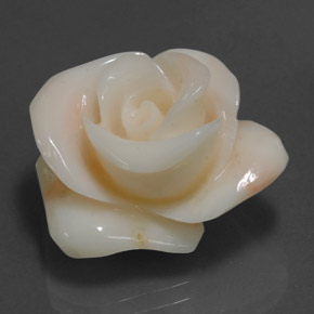 18.54 ct Cream Coral Stone, Natural Coral in Carved Rose Shape for Sale