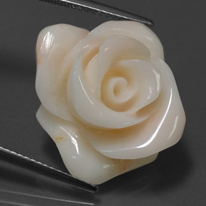 Coral Gemstone in 20.1 x 16.4 mm Size for Sale, Coral Stone in Cream Color