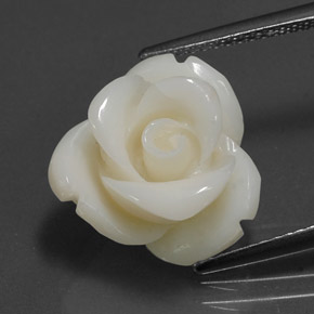 8.97 ct White Coral Gemstone, Coral Gem in Carved Rose Shape for Sale.