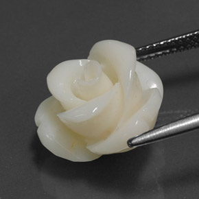 Coral Gemstone in 14.3 x 13.8 mm Size for Sale, Coral Stone in White Color