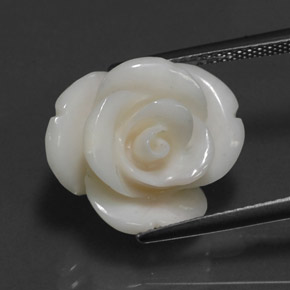 10.95 ct White Coral Gemstone, Coral Gem in Carved Rose Shape for Sale.