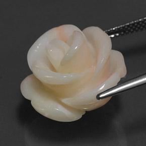 Coral Gemstone in 17.9 x 17.6 mm Size for Sale, Coral Stone in Pink Color