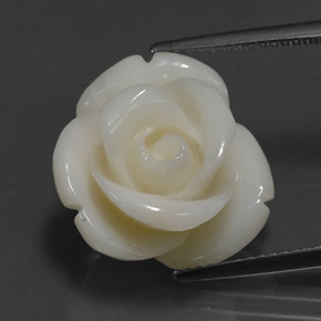 14.08 ct White Coral Gemstone, Coral Gem in Carved Rose Shape for Sale.