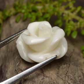 11.16 ct White Coral Stone, Natural Coral in Carved Rose Shape for Sale