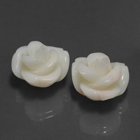 25.34 ctw Pink Coral Stones, Natural Coral in Carved Rose Shape for Sale