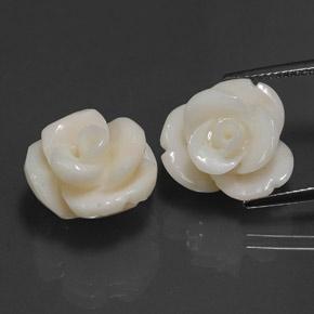 Off White Coral Gem - 10.8ct Carved Rose (ID: 341653)