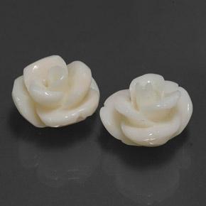 21.60 ctw White Coral Stones, Natural Coral in Carved Rose Shape for Sale