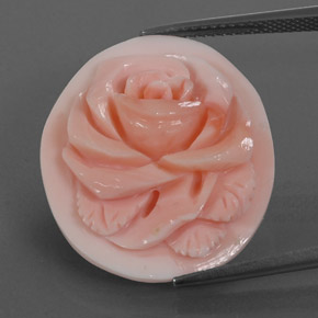 Coral Gemstone in 24.4 x 21.2 mm Size for Sale, Coral Stone in Salmon Pink Color