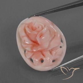 Coral Gemstone in 24.8 x 19.5 mm Size for Sale, Coral Stone in Flamingo Pink Color