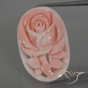 22.8 ct Pink Coral, 30.9 x 20 mm Carved From Taiwan, Photo A