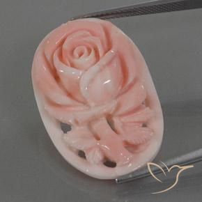 Coral Gemstone in 30.9 x 20 mm Size for Sale, Coral Stone in Flamingo Pink Color