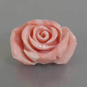 Coral Gemstone in 22.4 x 18.5 mm Size for Sale, Coral Stone in Salmon Pink Color