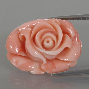 22.59 ct Multicolor Coral Gemstone, Coral Gem in Carved Rose Shape for Sale.