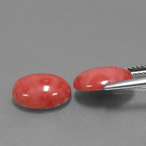 Coral Gemstone in 11 x 9 mm (calibrated) Size for Sale, Coral Stone in White Salmon Color