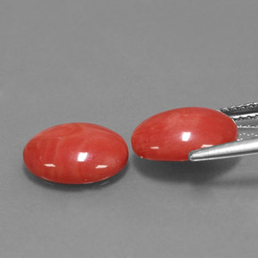 Coral Gemstone in 11 x 9 mm (calibrated) Size for Sale, Coral Stone in White Salmon Color