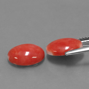 Coral Gemstone in 11 x 9 mm (calibrated) Size for Sale, Coral Stone in White Salmon Color