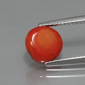 1.95 ct Pink Coral Gemstone, Coral Gem in Drilled Flat Cut Shape for Sale.