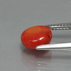 Coral Gemstone in 8 x 7.8 mm Size for Sale, Coral Stone in Salmon Color