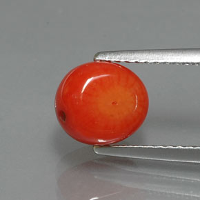 2.62 ct Pink Coral Gemstone, Coral Gem in Drilled Flat Cut Shape for Sale.