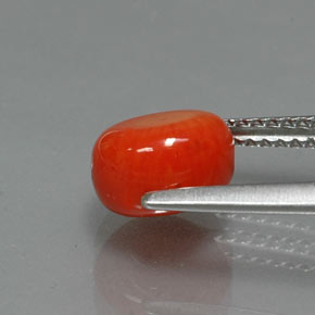 Coral Gemstone in 8.1 x 7.4 mm Size for Sale, Coral Stone in Salmon Color