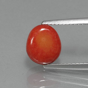 2.22 ct Pink Coral Gemstone, Coral Gem in Drilled Flat Cut Shape for Sale.