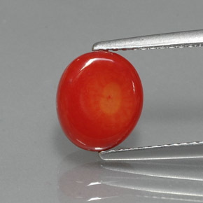 2.35 ct Pink Coral Gemstone, Coral Gem in Drilled Flat Cut Shape for Sale.